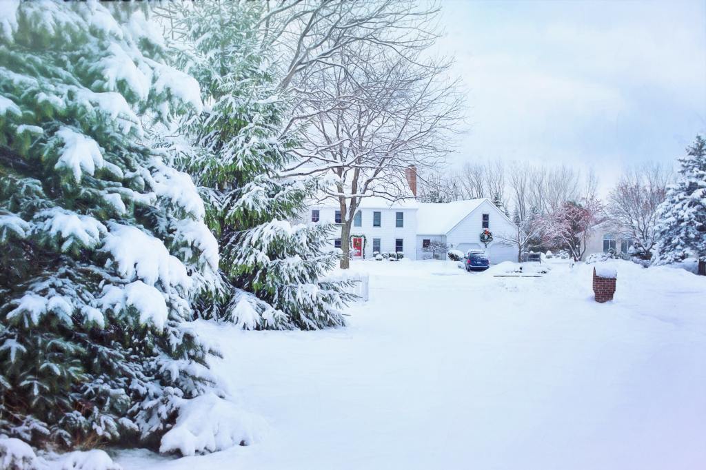 Winter House